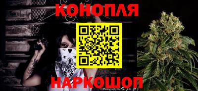 индика Дубна
