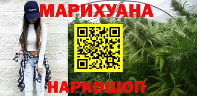 индика Дубна