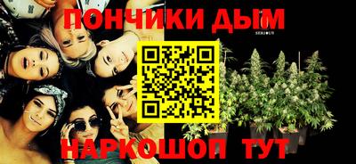 индика Дубна