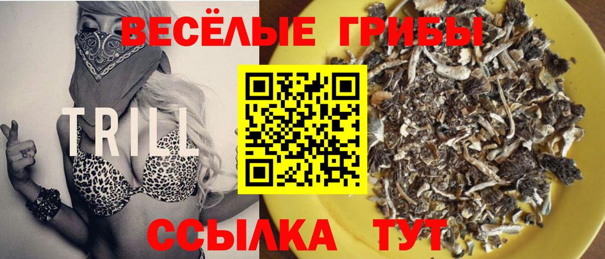 дарнет шоп  Вход с VPN  Балашов  Псилоцибиновые грибы мицелий 