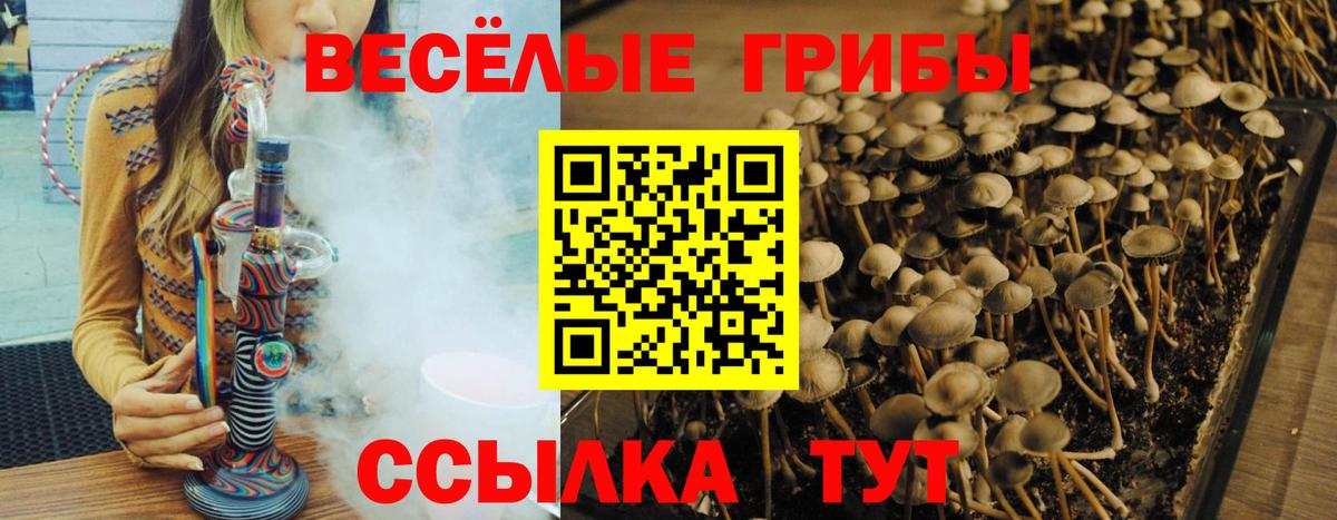 Галлюциногенные грибы Magic Shrooms Балашов
